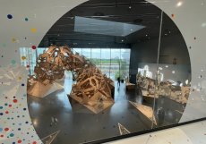 Hlavní, stálá expozice se zaměřuje na otázku „Jak chceme žít?“. Muzeum zahájilo provoz v září 2019 a rázem se stalo jedním z pěti nejnavštěvovanějších muzeí v Berlíně. Za necelých šest let od otevření si jej prohlédly již tři miliony návštěvníků a k zájmu nepřispívá jen vstup zdarma. 