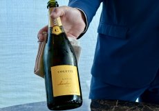 Coletti Blanc de Chardonnay brut od vinařství Kolaric. Jemné bublinky na úvod degustačního večera.