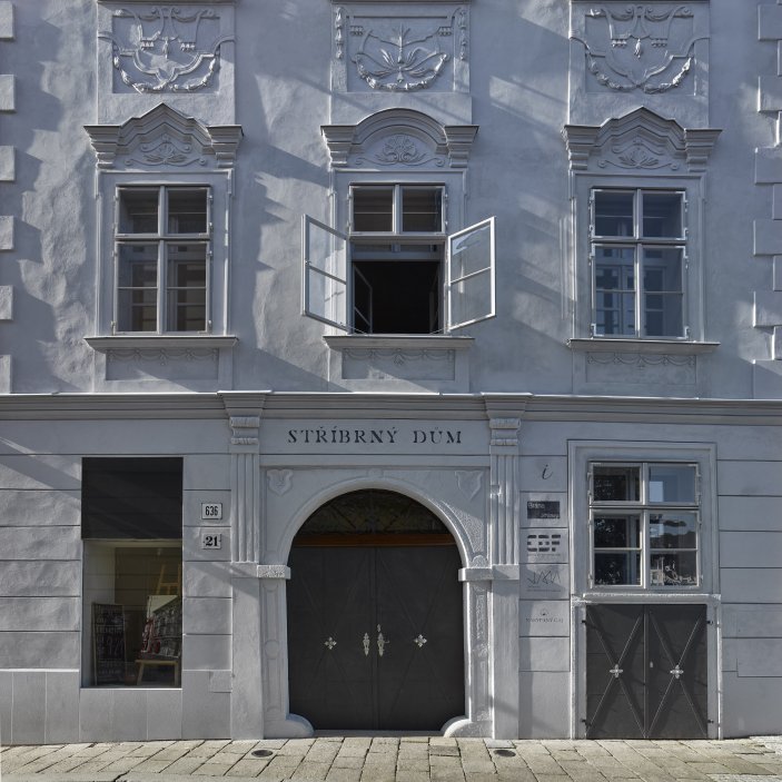 Dům se nachází na spodní straně hlavního Masarykova náměstí v Jihlavě. Jedná se o urbanisticky i architektonicky hodnotný objekt pod památkovou ochranou. Je typickým příkladem měšťanského domu na jihlavském náměstí, které představují nejhonosnější stavby svého druhu u nás. Obnova nevyužívaného domu byla spojena s nalezením vhodného využití, založeném na zájmu o životaschopnost a zpřístupnění velmi cenné architektonické památky veřejnosti.