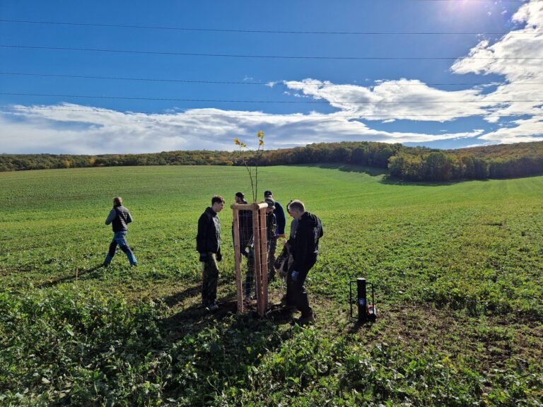 Projekty podpořené Fondem pro udržitelný život