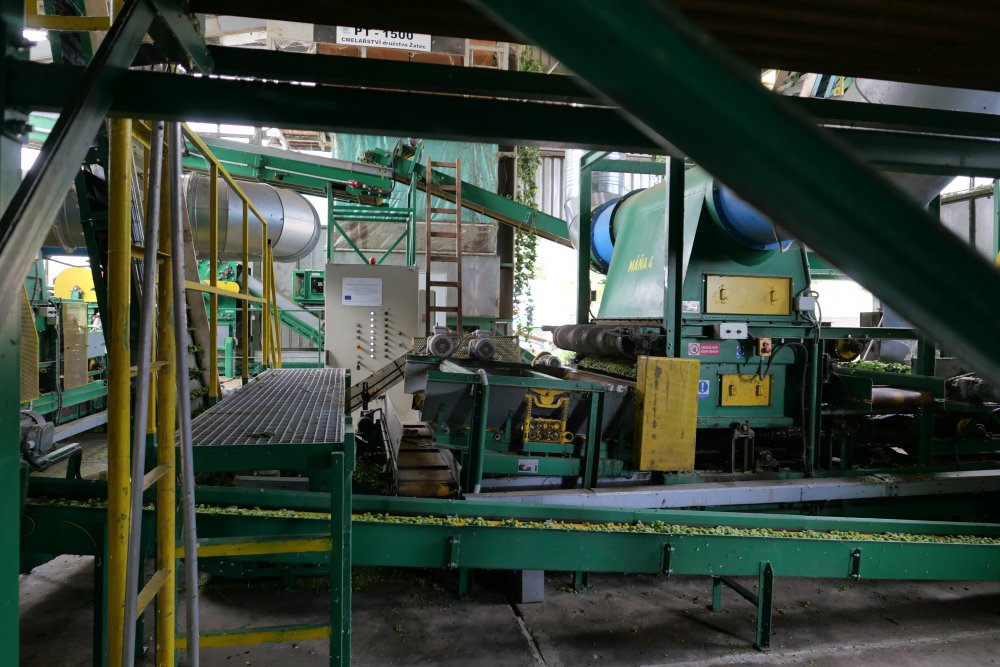 Česací a sušící linky vymýšlejí technici v Žatci