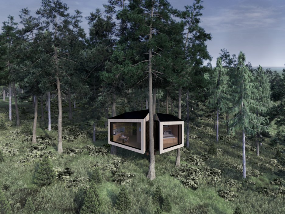 Glamping Bedřichov - Anna Hvězdová, ČVUT - Kabina je vybudována ± 3 metry nad terénem. Vede k ní lávka, která vytváří jednoduchou síť nad borůvčím a propojuje ji s ostatními kabinami. Díky umístění prosklení směrem na jih/jihovýchod dochází k solárním ziskům i během zimních měsíců a je umožněn otevřenější výhled do krajiny.