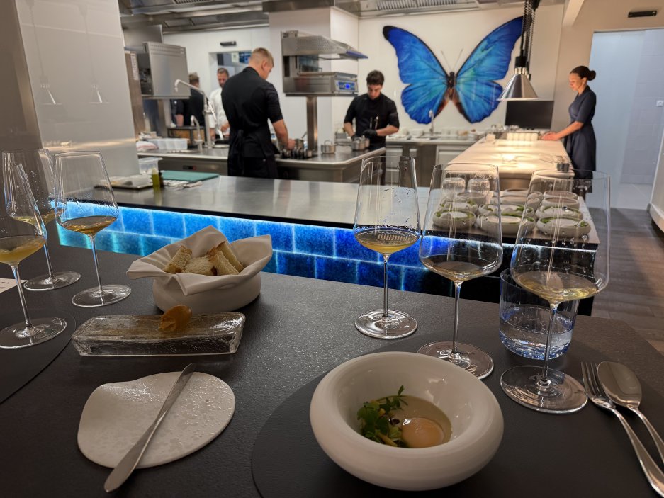 Pohled do otevřené kuchyně