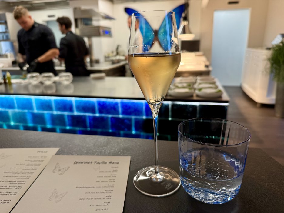 Úvodní sklenička šampaňského