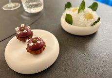 Petit fours