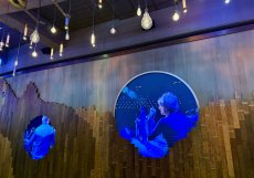 Interiér Grand Ole Opry s digitálními projekcemi hudebníků na dřevěné stěně – místo, kde country žije každý den.