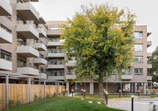 Vítězný bytový dům v CE ZA AR 2025 Nová Vajnorská.