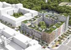 Majo architekti byli oceněni za nápaditou práci s parterem a loubím.