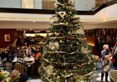 Dominantní vánoční strom v atriu hotelu Marriott udává sváteční atmosféru nedělního brunche