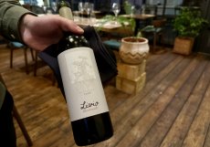 Malvazija 2023 od Benvenuti