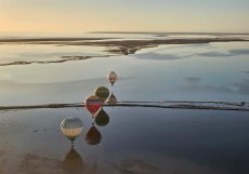 Festival přilákal účastníky z více než 15 zemí. Zahraniční piloti často zmiňovali kontrast mezi mořem a pouští, který jinde prakticky neexistuje. 