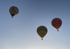 Festival přilákal účastníky z více než 15 zemí. Zahraniční piloti často zmiňovali kontrast mezi mořem a pouští, který jinde prakticky neexistuje. 