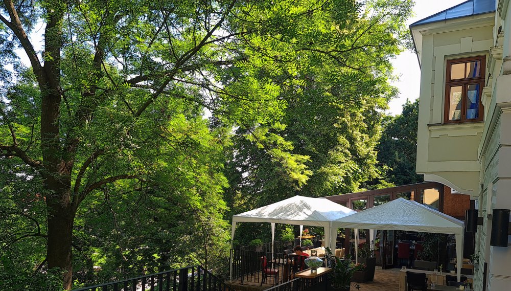Svého prvního Biba má i Hradec Králové. Konkrétně restaurace Šatlava.