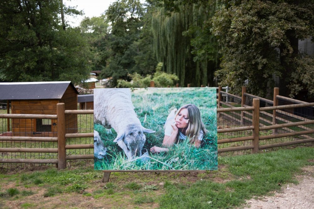 Odešla herečka, která byla globální ikonou, zářivým idolem i zosobnění francouzského stylu. Tak reagují francouzská média na dnešní úmrtí herečky Brigitte Bardotové.