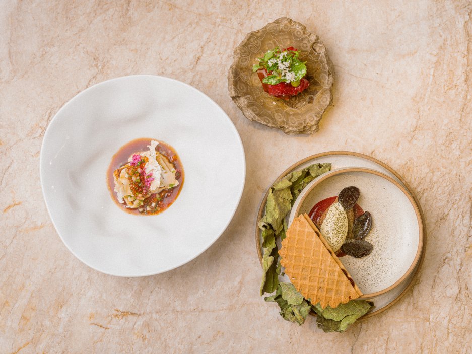 Na snímku: Hovězí roštěná, topinamburová kobliha, ponzu želé, křenová majonéza, petržel. Dále candát pečený na másle, květákové pyré, rybí garum, nakládaná bezinka, olej z lískových ořechů a jako dezert švestky, zmrzlina z fíkového listí, perníková oplatka, čokoláda.