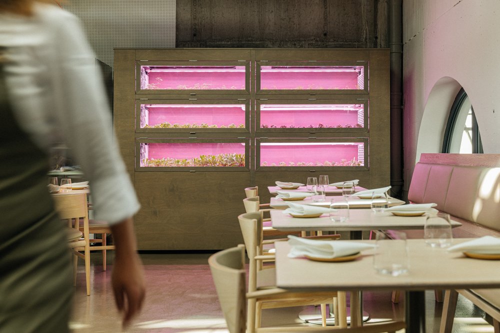 V kuchyni u Martina Štangla a nejenom u něj pojem terroir znamená respekt k místu původu surovin. Kuchař vaří z toho, co roste tam, kde žije. Ne proto, že by to bylo lokální z povinnosti, ale protože chuť je nejautentičtější právě v kontextu svého prostředí. Například i topinambury z farmy Oleško nebo candát z Chabrybárny.