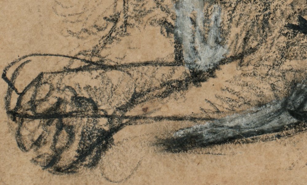 Detail dvojí polohy levé tlapy
