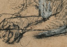 Detail dvojí polohy levé tlapy