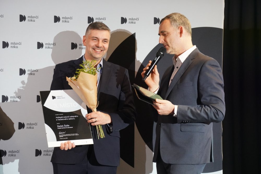 Stříbrný Veřejný a neziskový sektor Radek Šalša