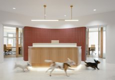 Velkorysý centrální hub tvoří společenské i komunikační srdce celého podlaží.