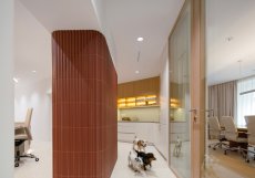 Přirozené denní světlo prostupuje interiérem z obou fasád a posiluje jeho hloubku.