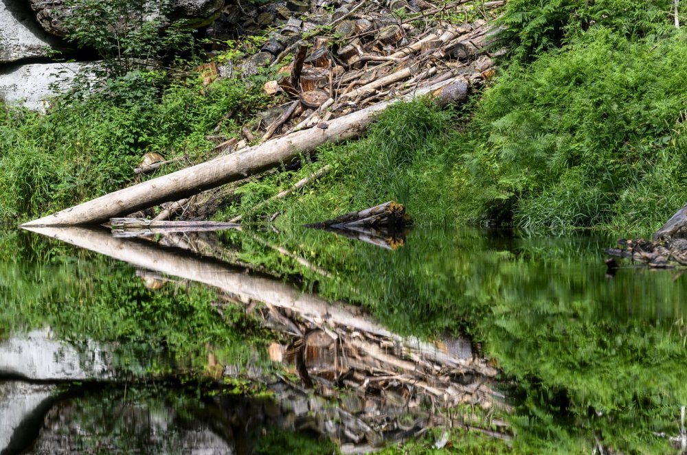 Hřensko láká na velikonoční trhy a Divokou soutěsku, Edmundova se otevře později