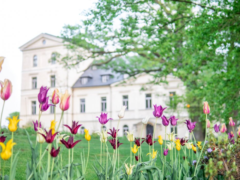 Mezi průkopníky patří také Chateau Mcely ve středních Čechách, jeden z mála pětihvězdičkových hotelů v Česku s certifikací Green Key. Hotel využívá ekologické čisticí prostředky, vlastní biodynamickou zahradu i bio-kotelnu.