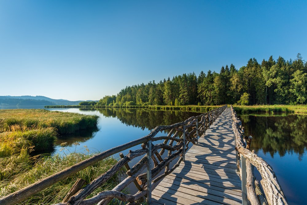 Naučná stezka vedoucí kolem rybníka Olšina se line bývalým vojenským prostorem.