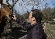 Francesco Kinský dal Borgo