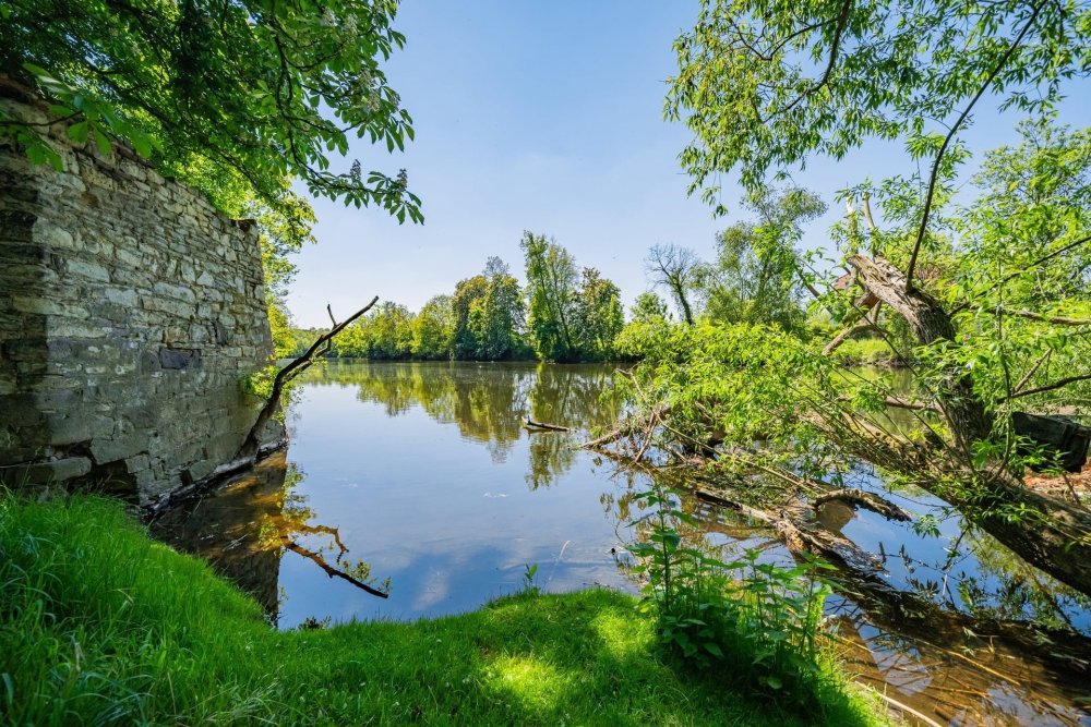 Zámecký areál ve Vršovicích (okres Louny) o rozloze 15 805 m² s celkovou podlahovou plochou cca 5 000 m² je situovaný v malebné zátočině na břehu řeky Ohře, vhodný pro podnikatelské využití. Součástí je historický zámek se čtyřkřídlou dispozicí a třemi hospodářskými budovami, z nichž jedna již prošla částečnou rekonstrukcí a nabízí široké možnosti pro ubytování, zdravotnictví či wellness.