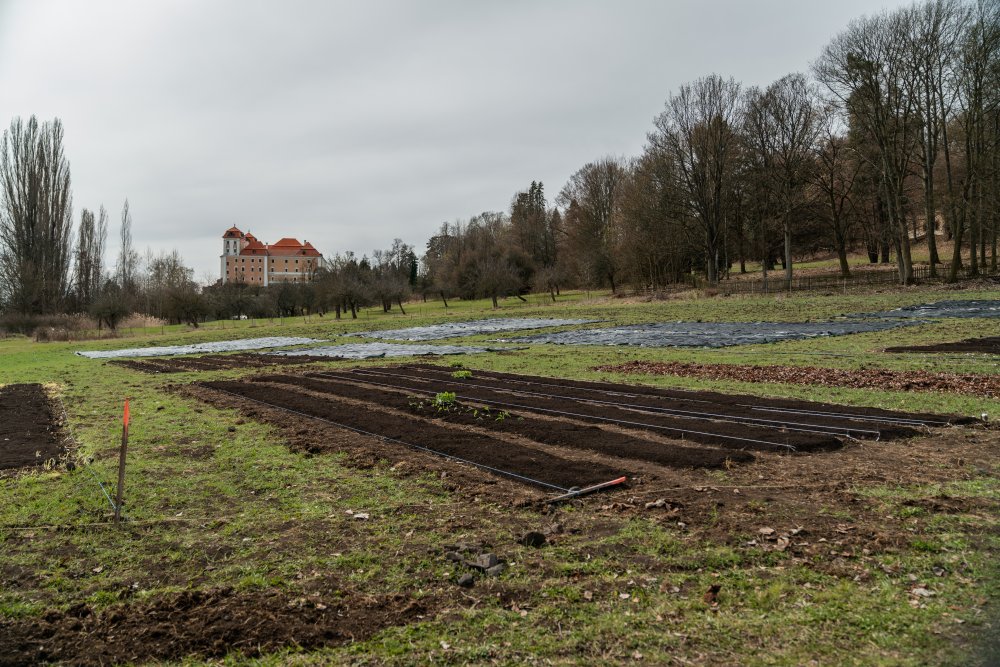Farmářská škola, první vyšší odborná škola v Česku zaměřená výhradně na ekologické zemědělství, míří k dalšímu klíčovému tématu: k budoucnosti české krajiny. Její autoři vycházejí z toho, že zemědělství čeká generační i klimatická změna a že budoucí farmáři se musí učit přímo v terénu.