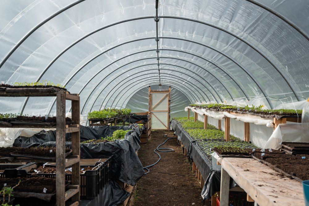Farmářská škola, první vyšší odborná škola v Česku zaměřená výhradně na ekologické zemědělství, míří k dalšímu klíčovému tématu: k budoucnosti české krajiny. Její autoři vycházejí z toho, že zemědělství čeká generační i klimatická změna a že budoucí farmáři se musí učit přímo v terénu.