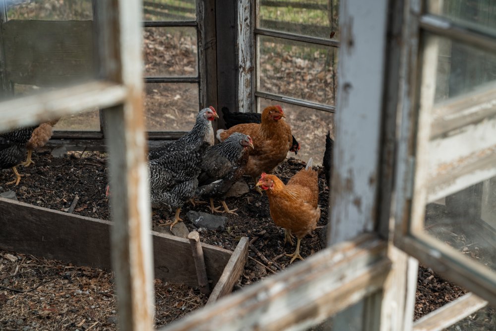 Farmářská škola, první vyšší odborná škola v Česku zaměřená výhradně na ekologické zemědělství, míří k dalšímu klíčovému tématu: k budoucnosti české krajiny. Její autoři vycházejí z toho, že zemědělství čeká generační i klimatická změna a že budoucí farmáři se musí učit přímo v terénu.