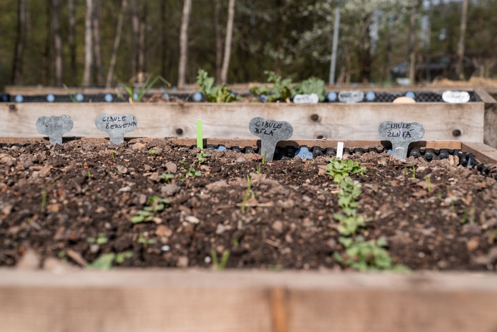 V rámci dalšího nominovaného projektu s názvem žáci základních a středních škol zkoumají školní pozemky, sledují půdu, vodu, teplotu i biodiverzitu a navrhují konkrétní úpravy. Vznikají vyvýšené záhony, komposty, květnaté louky, výsadby stromů, prvky pro zadržování srážkové vody nebo další adaptační opatření, která mají ochlazovat prostředí a zlepšovat schopnost půdy držet vodu.
