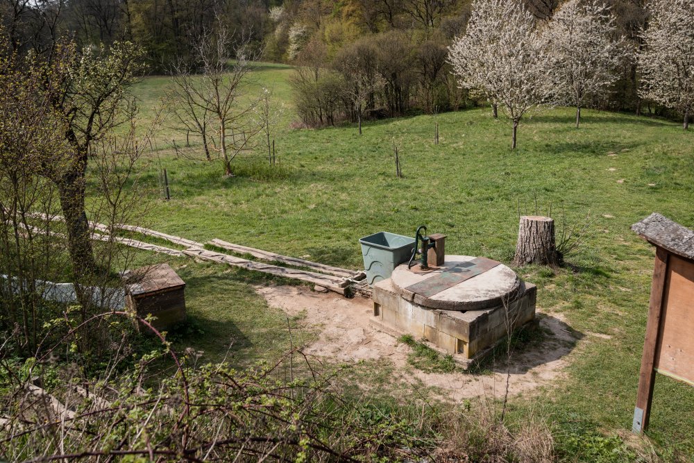 V rámci dalšího nominovaného projektu s názvem žáci základních a středních škol zkoumají školní pozemky, sledují půdu, vodu, teplotu i biodiverzitu a navrhují konkrétní úpravy. Vznikají vyvýšené záhony, komposty, květnaté louky, výsadby stromů, prvky pro zadržování srážkové vody nebo další adaptační opatření, která mají ochlazovat prostředí a zlepšovat schopnost půdy držet vodu.
