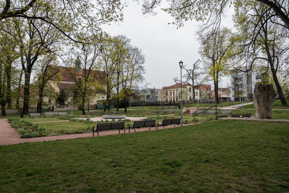 Pátým finalistou je UpGreen od společnosti Asitis. Projekt využívá satelitní data k hodnocení stavu městských stromů. Obcím poskytuje informace o vitalitě, stresu, produktivitě a dlouhodobé perspektivě jednotlivých dřevin.