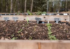 V rámci dalšího nominovaného projektu s názvem žáci základních a středních škol zkoumají školní pozemky, sledují půdu, vodu, teplotu i biodiverzitu a navrhují konkrétní úpravy. Vznikají vyvýšené záhony, komposty, květnaté louky, výsadby stromů, prvky pro zadržování srážkové vody nebo další adaptační opatření, která mají ochlazovat prostředí a zlepšovat schopnost půdy držet vodu.