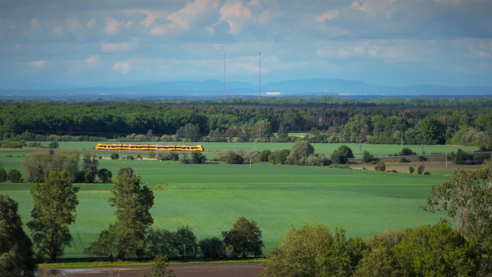 Podívejte se na první snímky nové jednotky Pesa, kterou RegioJet testuje pro linku z Prahy přes Vysočinu do Brna a Jihlavy. Vlak má nabídnout rychlost až 200 km/h, vyšší komfort i služby, které mají z cesty po kolejích udělat skutečnou alternativu k dálnici D1.