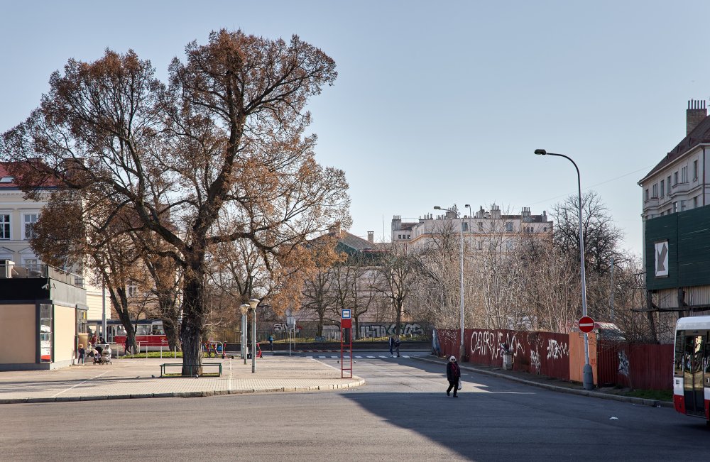 Proměna Nových Holešovic se netýká jen nové výstavby v okolí nádraží. Zadání počítá také s pohodlnějším přestupem mezi vlakem a metrem, dvěma propojenými náměstími přes Vrbenského ulici, lepší prostupností území, vazbami na Vltavu a Stromovku i umístěním mateřské školy. Z dopravního uzlu se má stát plnohodnotná městská čtvrť.