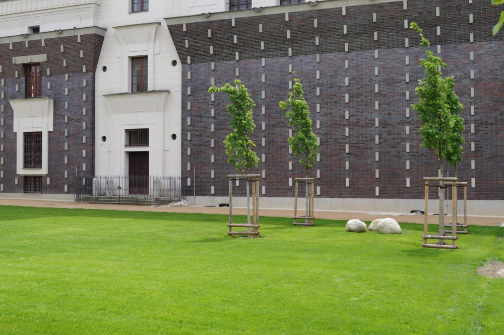 Revitalizace podle návrhu MCA atelieru Pavly Melkové a Miroslava Cikána, realizovaná hlavním městem Prahou ve spolupráci s Městskou částí Praha 3, sjednocuje dosud fragmentovaný prostor, navazuje na urbanistický řád založený Josipem Plečnikem a vrací Jiřáku roli živého městského náměstí. Nová podoba přinesla 120 nově vysazených stromů, pobytové trávníky, vodní prvky, dětské hřiště, mobiliář i technické zázemí pro trhy a kulturní akce.