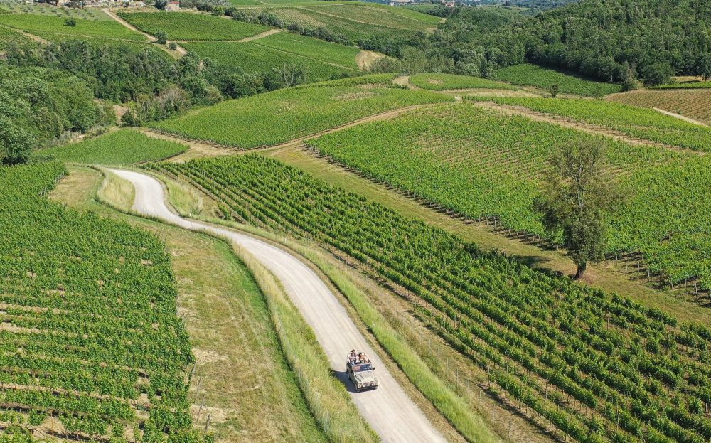 Zchátralá usedlost v kopcích Chianti Classico se během dvou dekád proměnila v luxusní vinařský resort. Vallepicciola dnes propojuje moderní vinařství ukryté ve svahu, pětihvězdičkové ubytování, michelinskou gastronomii i zážitky mezi vinicemi. Podívejte se, jak vypadá toskánský model, kde se víno neprodává jen v lahvi, ale jako celý životní styl.