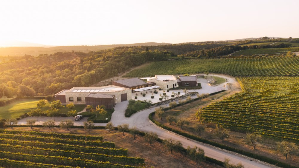 Zchátralá usedlost v kopcích Chianti Classico se během dvou dekád proměnila v luxusní vinařský resort. Vallepicciola dnes propojuje moderní vinařství ukryté ve svahu, pětihvězdičkové ubytování, michelinskou gastronomii i zážitky mezi vinicemi. Podívejte se, jak vypadá toskánský model, kde se víno neprodává jen v lahvi, ale jako celý životní styl.