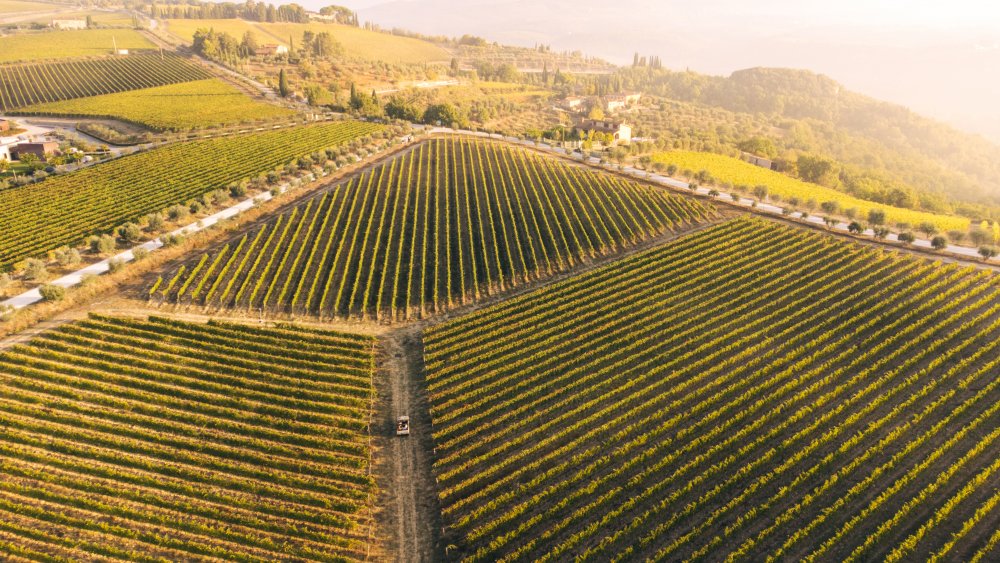 Zchátralá usedlost v kopcích Chianti Classico se během dvou dekád proměnila v luxusní vinařský resort. Vallepicciola dnes propojuje moderní vinařství ukryté ve svahu, pětihvězdičkové ubytování, michelinskou gastronomii i zážitky mezi vinicemi. Podívejte se, jak vypadá toskánský model, kde se víno neprodává jen v lahvi, ale jako celý životní styl.