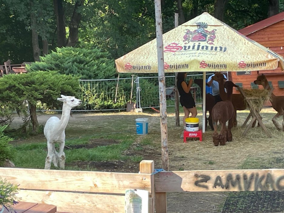 Součástí nákupního výletu může být i návštěva restaurace, pivo je ale v Polsku drahé