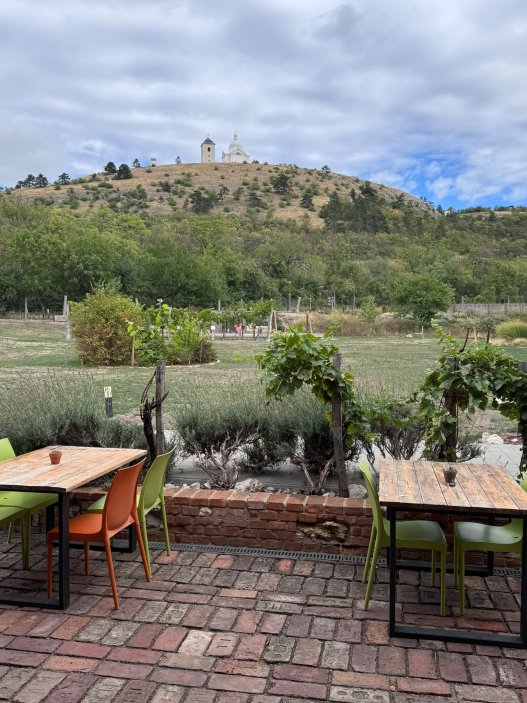 Mikulov už dávno neláká jen na víno a památky. Na několika ulicích se tu soustředí oceněné restaurace, vinařské podniky, bistra i kavárny. Restaurace Ryzlink ve Vinařství Fučík staví na moderně pojaté české kuchyni a párování s místními víny, vlastní podnik tu má i Marcel Ihnačák. Gastronomický výlet navíc doplňuje zámek, Svatý kopeček a působivá židovská čtvrť.