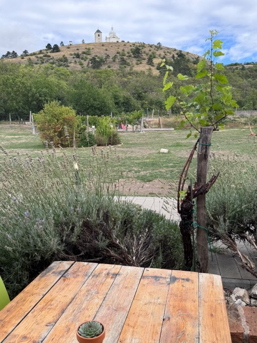 Mikulov už dávno neláká jen na víno a památky. Na několika ulicích se tu soustředí oceněné restaurace, vinařské podniky, bistra i kavárny. Restaurace Ryzlink ve Vinařství Fučík staví na moderně pojaté české kuchyni a párování s místními víny, vlastní podnik tu má i Marcel Ihnačák. Gastronomický výlet navíc doplňuje zámek, Svatý kopeček a působivá židovská čtvrť.