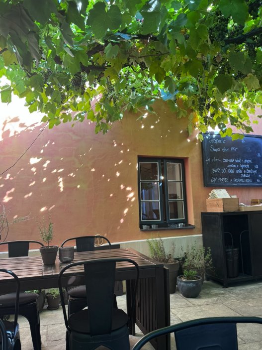 Mikulov už dávno neláká jen na víno a památky. Na několika ulicích se tu soustředí oceněné restaurace, vinařské podniky, bistra i kavárny. Restaurace Ryzlink ve Vinařství Fučík staví na moderně pojaté české kuchyni a párování s místními víny, vlastní podnik tu má i Marcel Ihnačák. Gastronomický výlet navíc doplňuje zámek, Svatý kopeček a působivá židovská čtvrť.