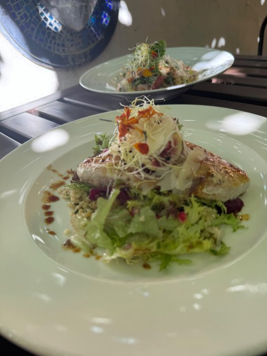 Mikulov už dávno neláká jen na víno a památky. Na několika ulicích se tu soustředí oceněné restaurace, vinařské podniky, bistra i kavárny. Restaurace Ryzlink ve Vinařství Fučík staví na moderně pojaté české kuchyni a párování s místními víny, vlastní podnik tu má i Marcel Ihnačák. Gastronomický výlet navíc doplňuje zámek, Svatý kopeček a působivá židovská čtvrť.