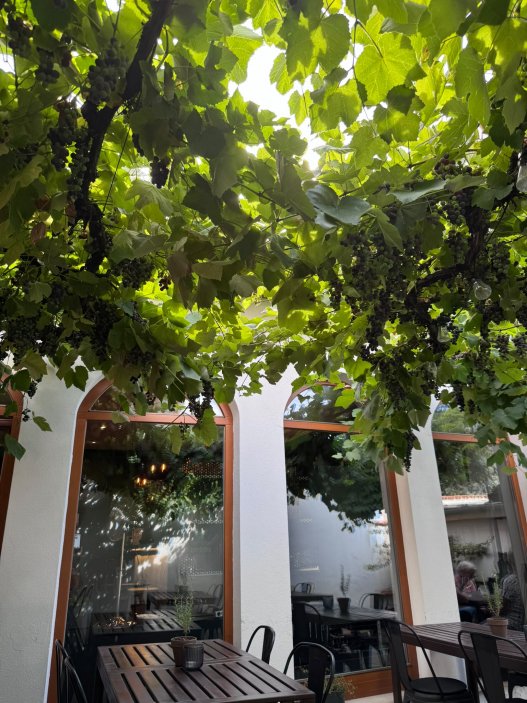 Mikulov už dávno neláká jen na víno a památky. Na několika ulicích se tu soustředí oceněné restaurace, vinařské podniky, bistra i kavárny. Restaurace Ryzlink ve Vinařství Fučík staví na moderně pojaté české kuchyni a párování s místními víny, vlastní podnik tu má i Marcel Ihnačák. Gastronomický výlet navíc doplňuje zámek, Svatý kopeček a působivá židovská čtvrť.