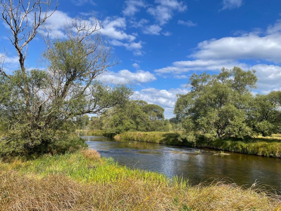 Teplá Vltava blízko Soumarského mostu